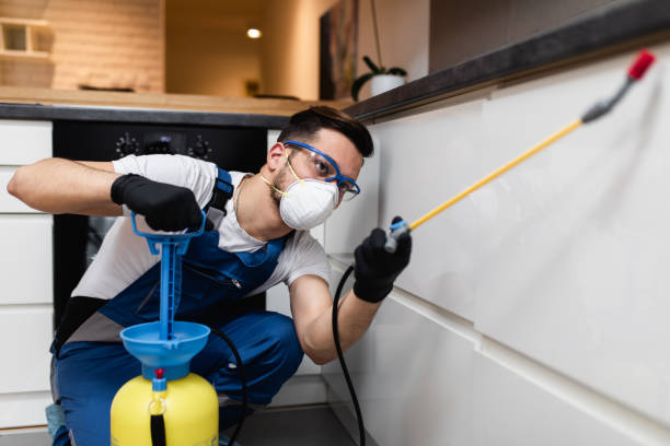 Best Exterminator Services  in Terrytown, LA