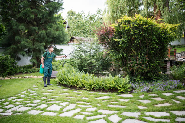 Best Best Pest Control Companies  in Terrytown, LA