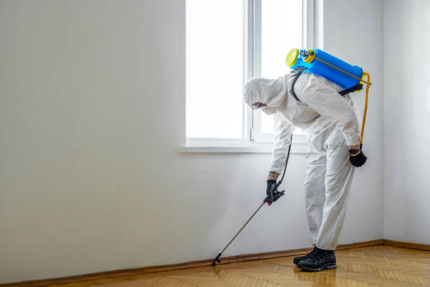 Best Rat Extermination Near Me  in Terrytown, LA