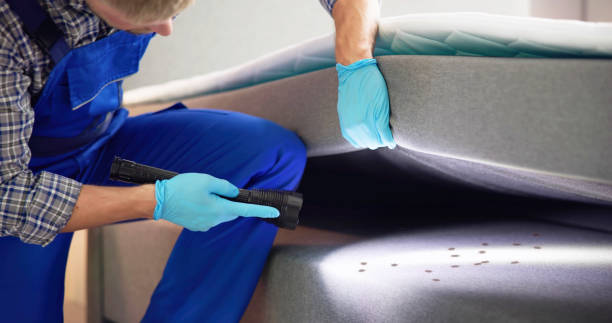 Best Cockroach Control Services  in Terrytown, LA