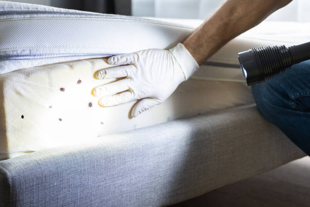 Best Pest Inspection Near Me  in Terrytown, LA