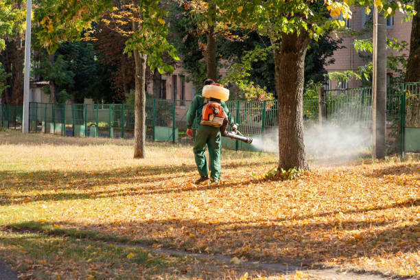 Best Emergency Pest Control  in Terrytown, LA