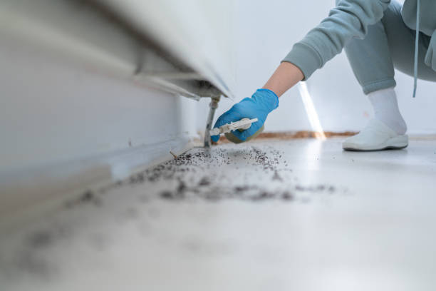 Pest Control Cost in Terrytown, LA